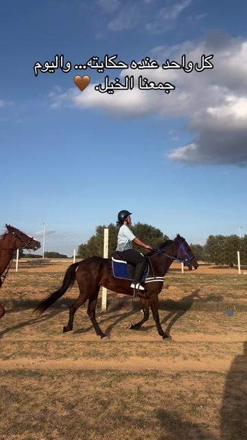 @Feres Ben Amor 🏇