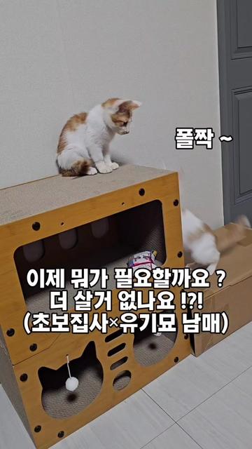 @🍩이상사&times;234🍩