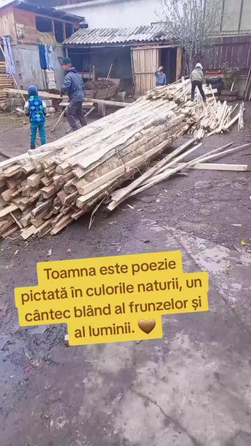 @Florica Lăcrimioara ❤️Aurel &hearts;️