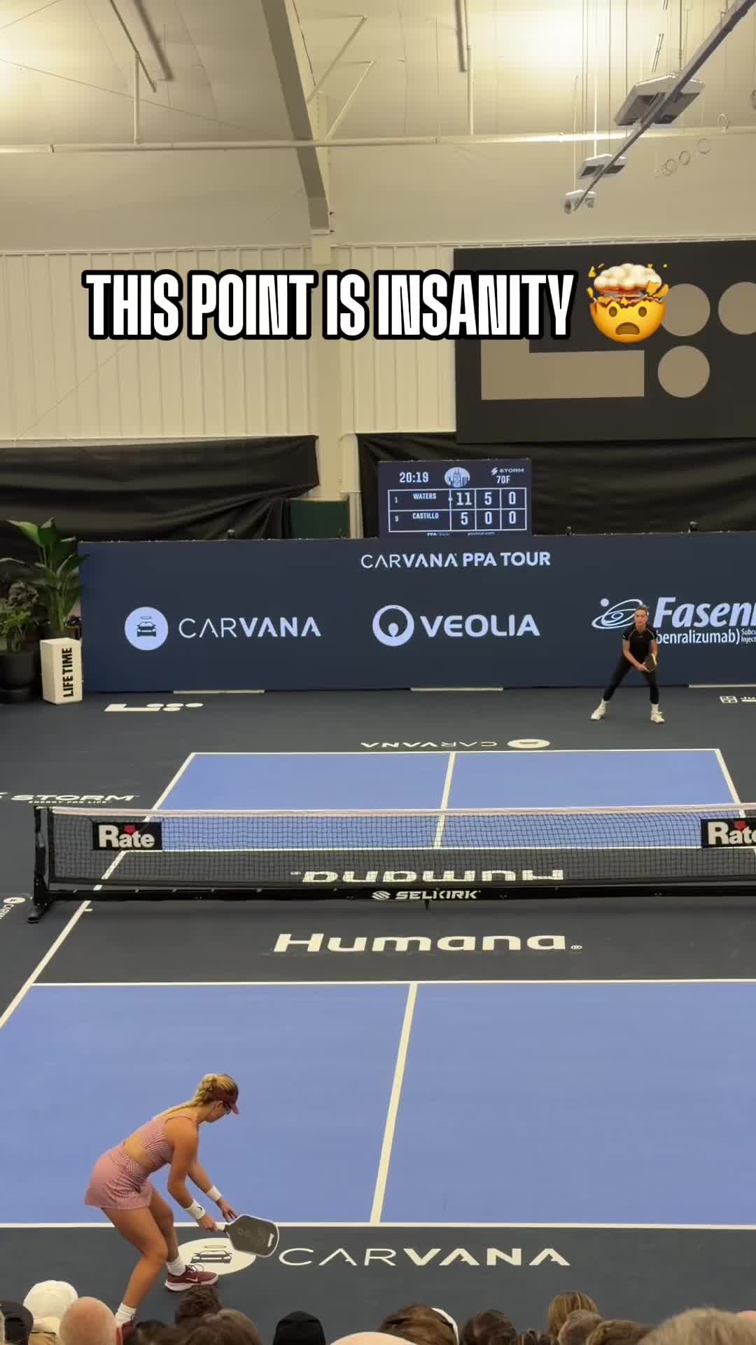 @pickleballdotcom