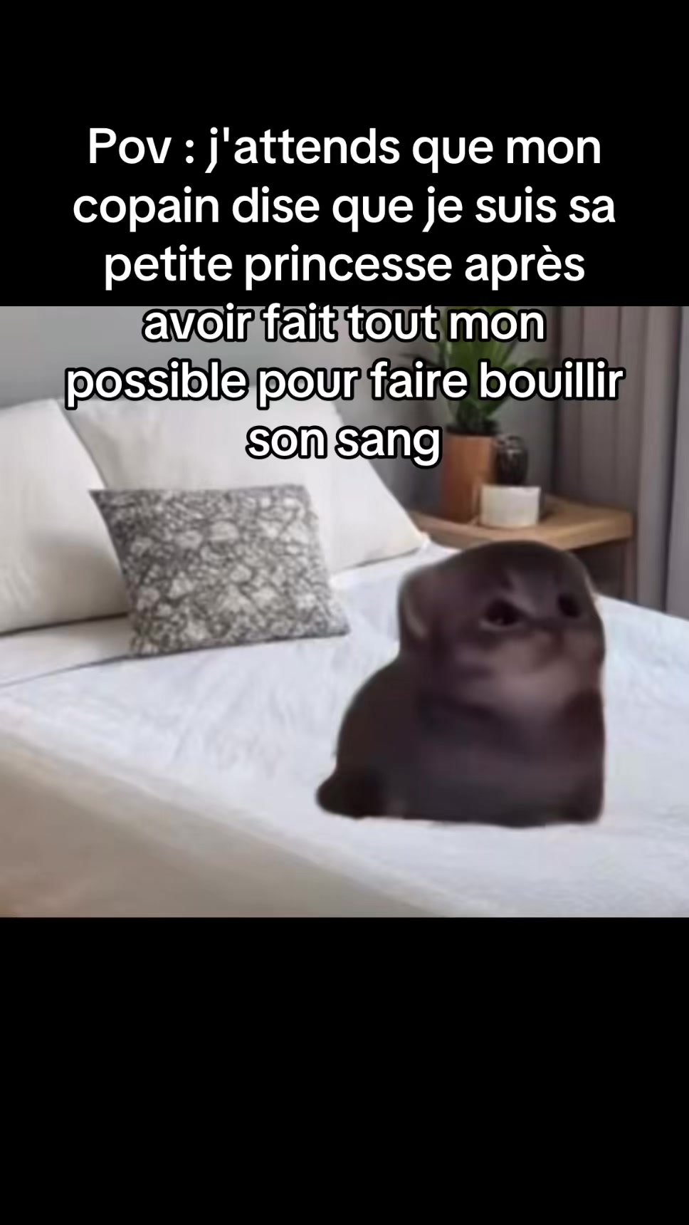 @Rose