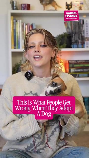 @Amelia the Dog Trainer