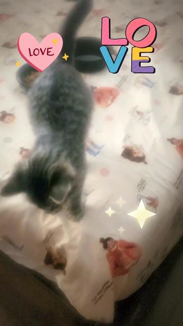 @Liliana Contreras🐥💜🐨🍉✨️👑