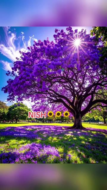 @NISH🌻🌻🌻🇱🇰