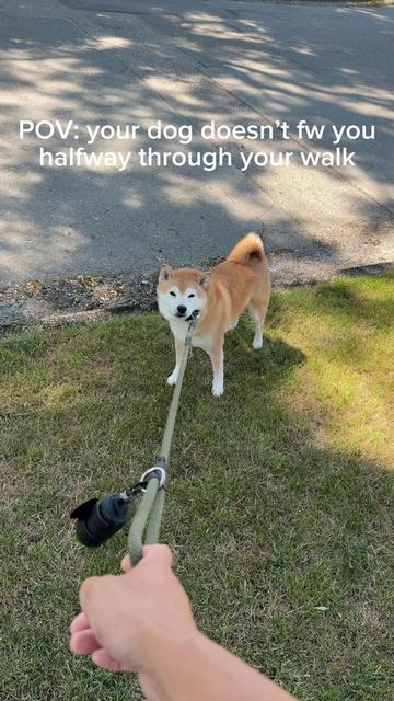 @Kylo