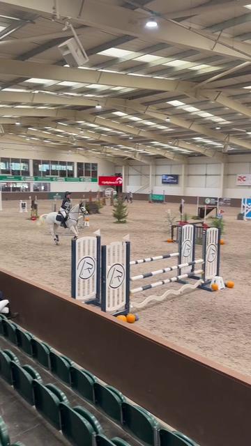 @amelia_showjumping2