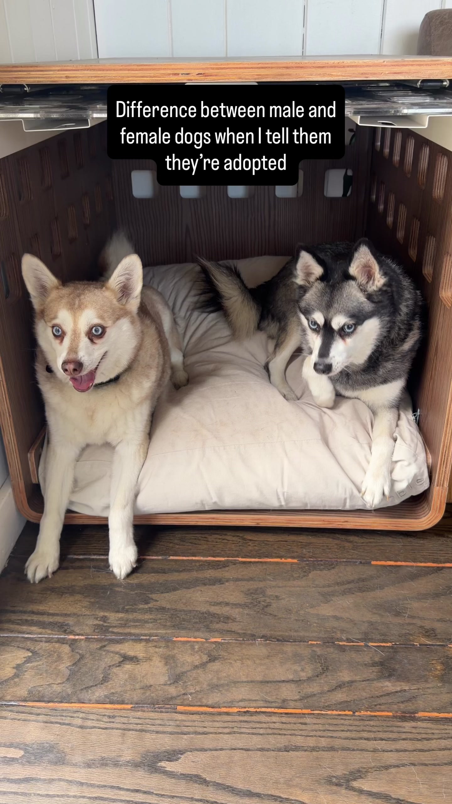 @lifewithkleekai