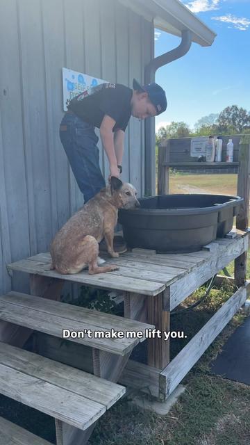 @Stuart Farmstead