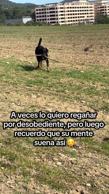 @Anubis y compañía