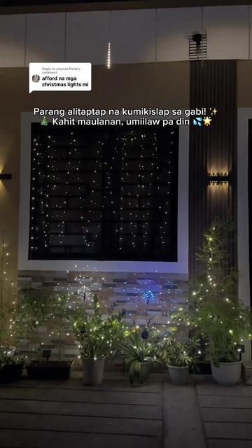 @leleng💎