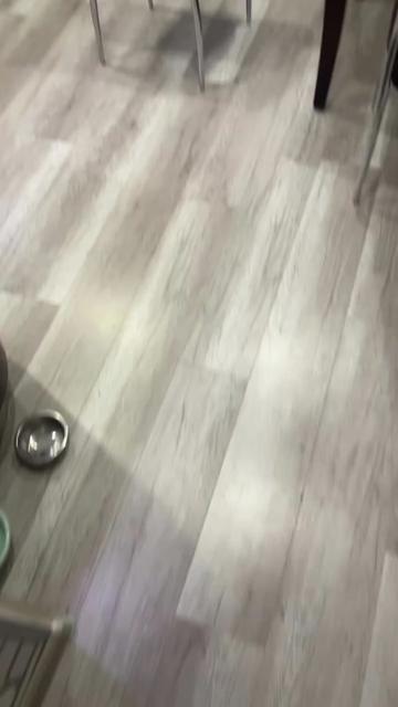 @tissyshi