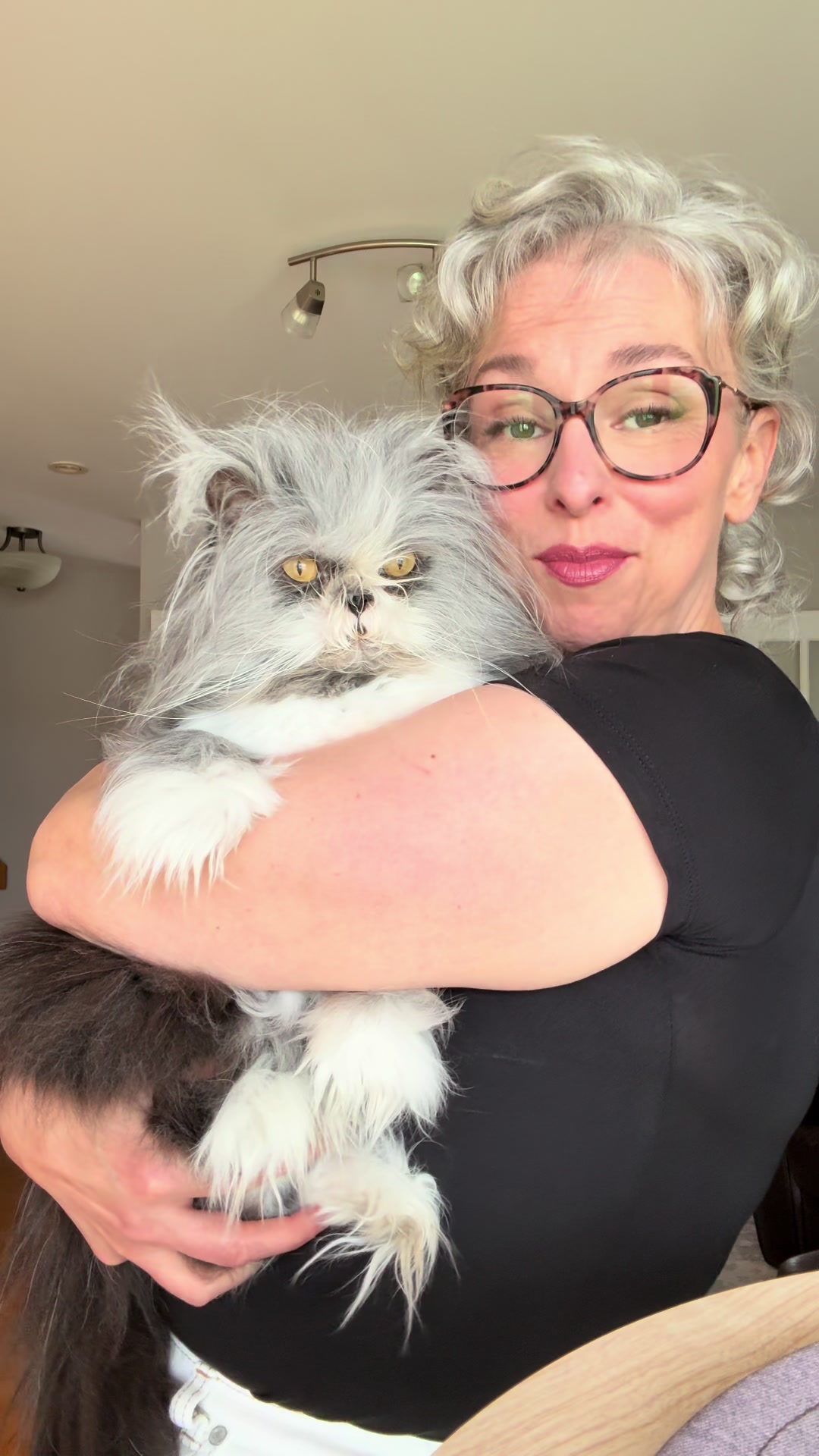 @atchoumthecat