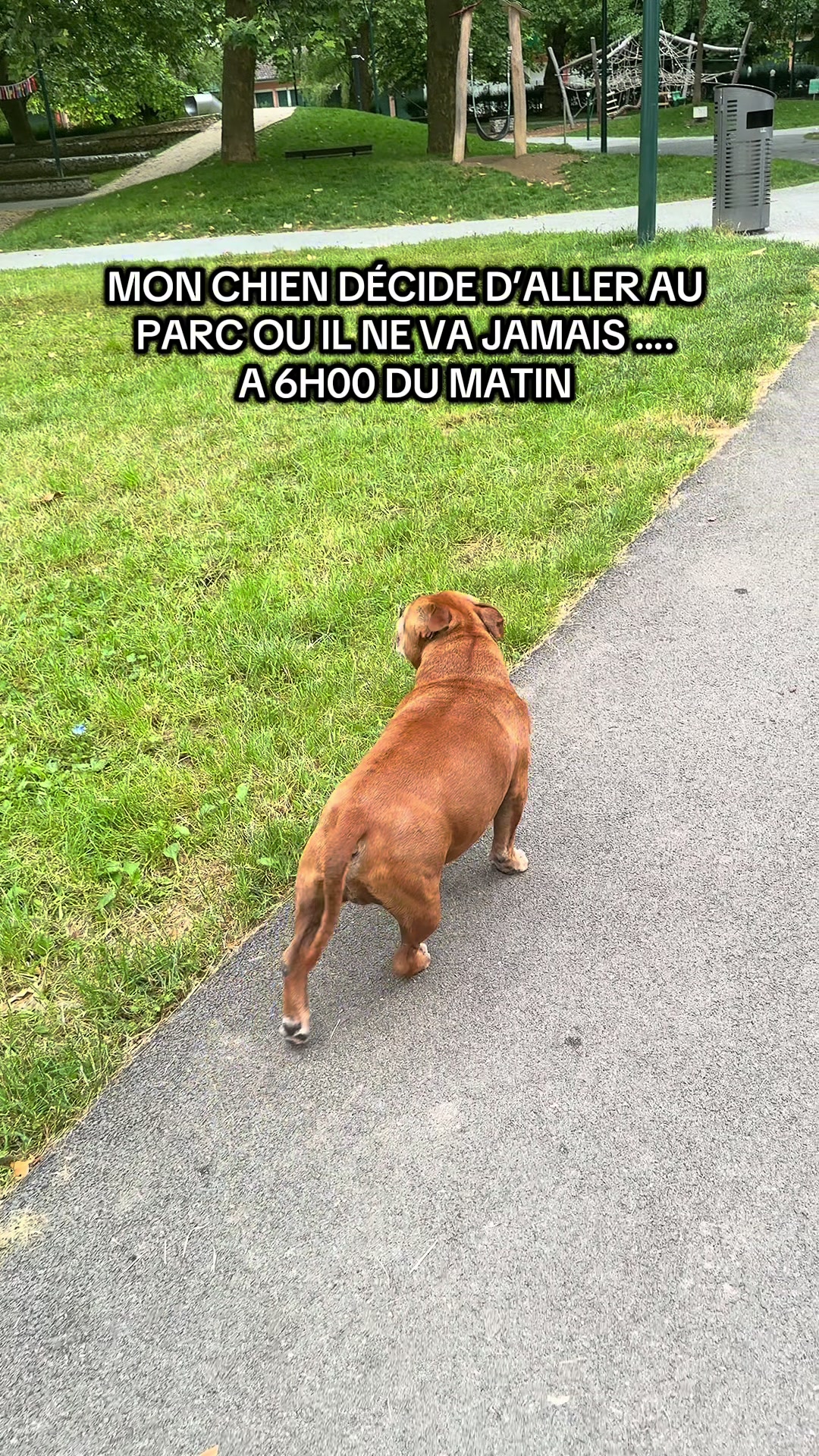 @🐾 Malki Red Star 🐾