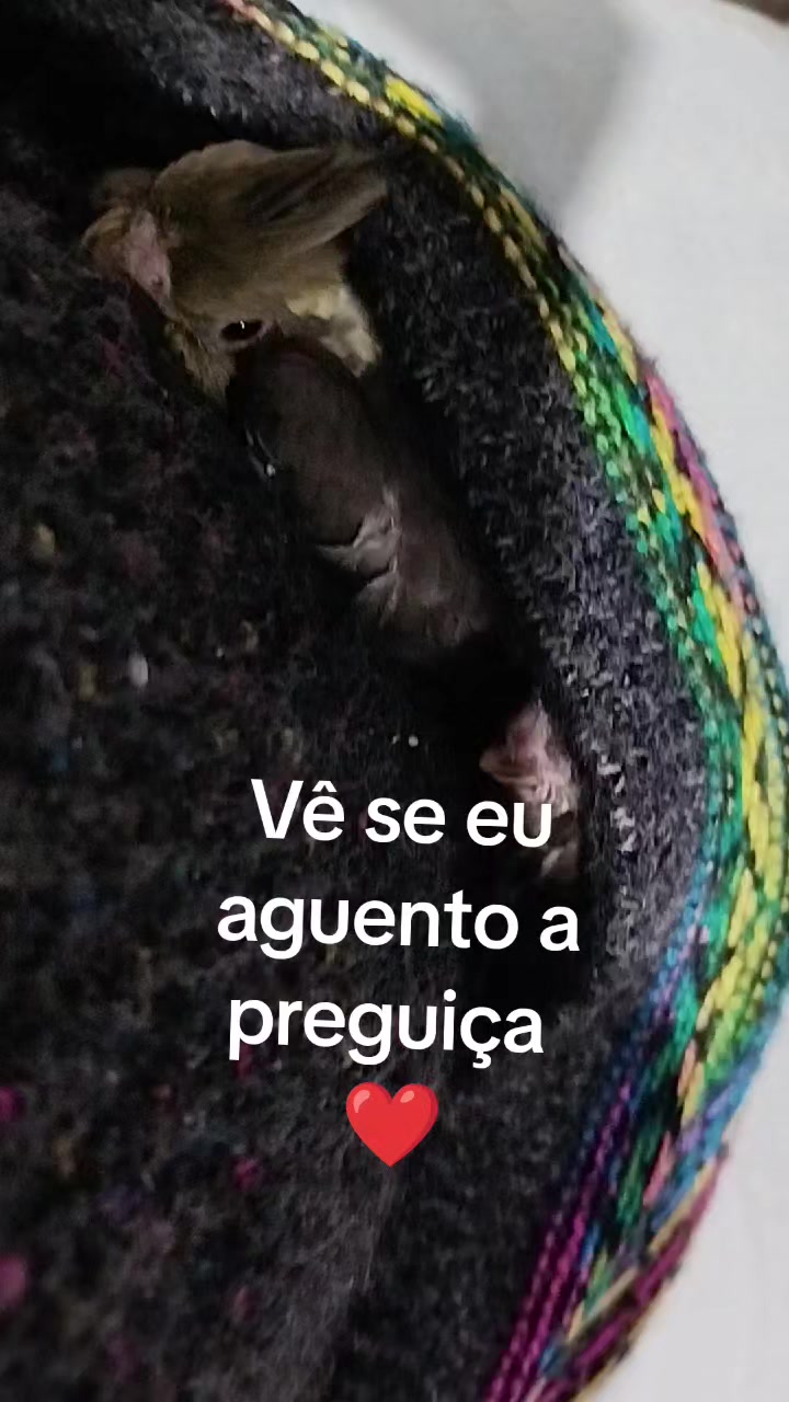 @antonia.modaféshop