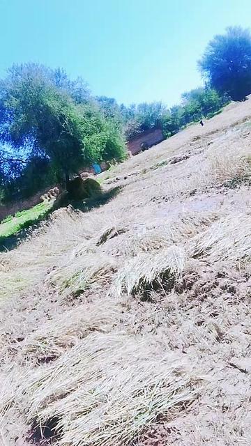 @rehanwazir546