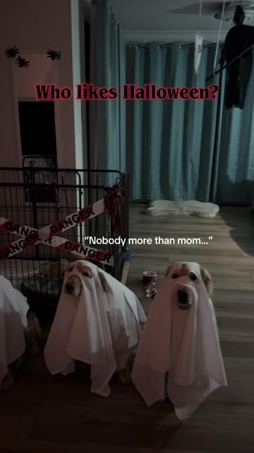 @3goldenretriever