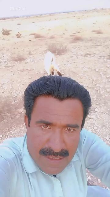 @Hanif baloch pahadi wala