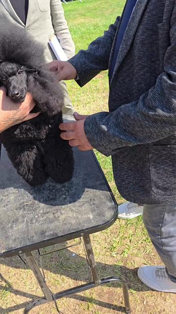 @ilker Örkmez