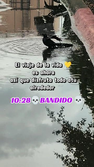 @💀BANDIDO💀SUELTO💀