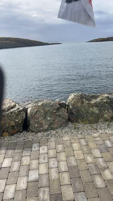 @Even 🇳🇴Svimevik