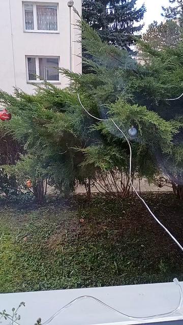 @Můžete posílat balíky