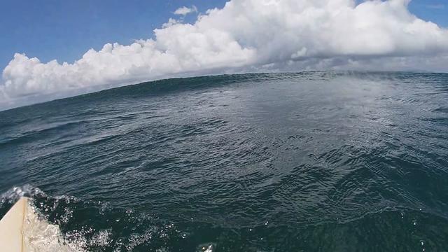 @oscarcc_surfs