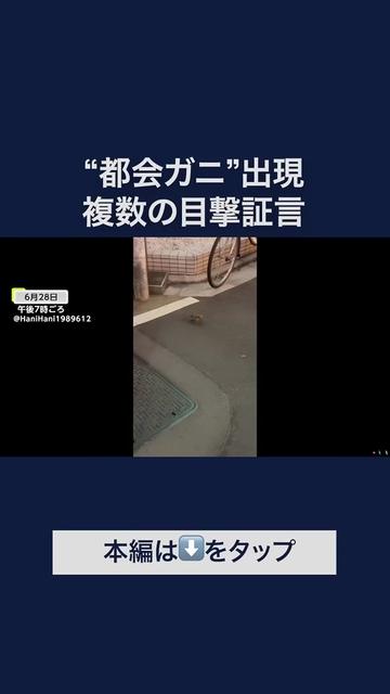 @user1040381569363