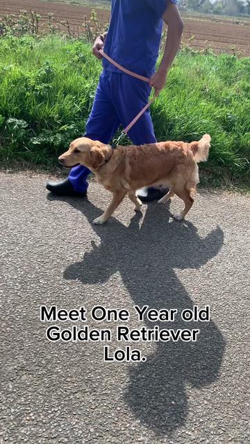 @profnoelfitzpatrick