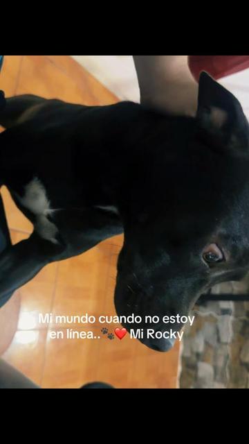 @ErnestoPerezGT