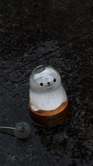 @Seal2028