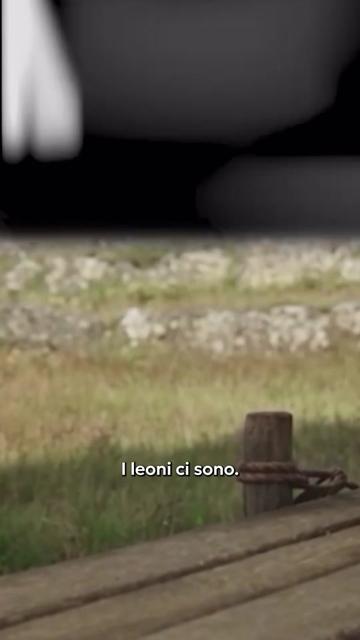 @redazioneiene