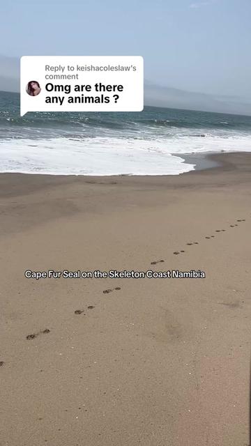 @Amy Brummit