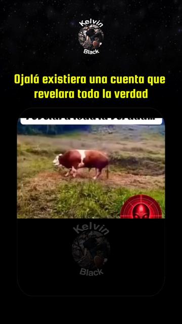 @Kelvin Black