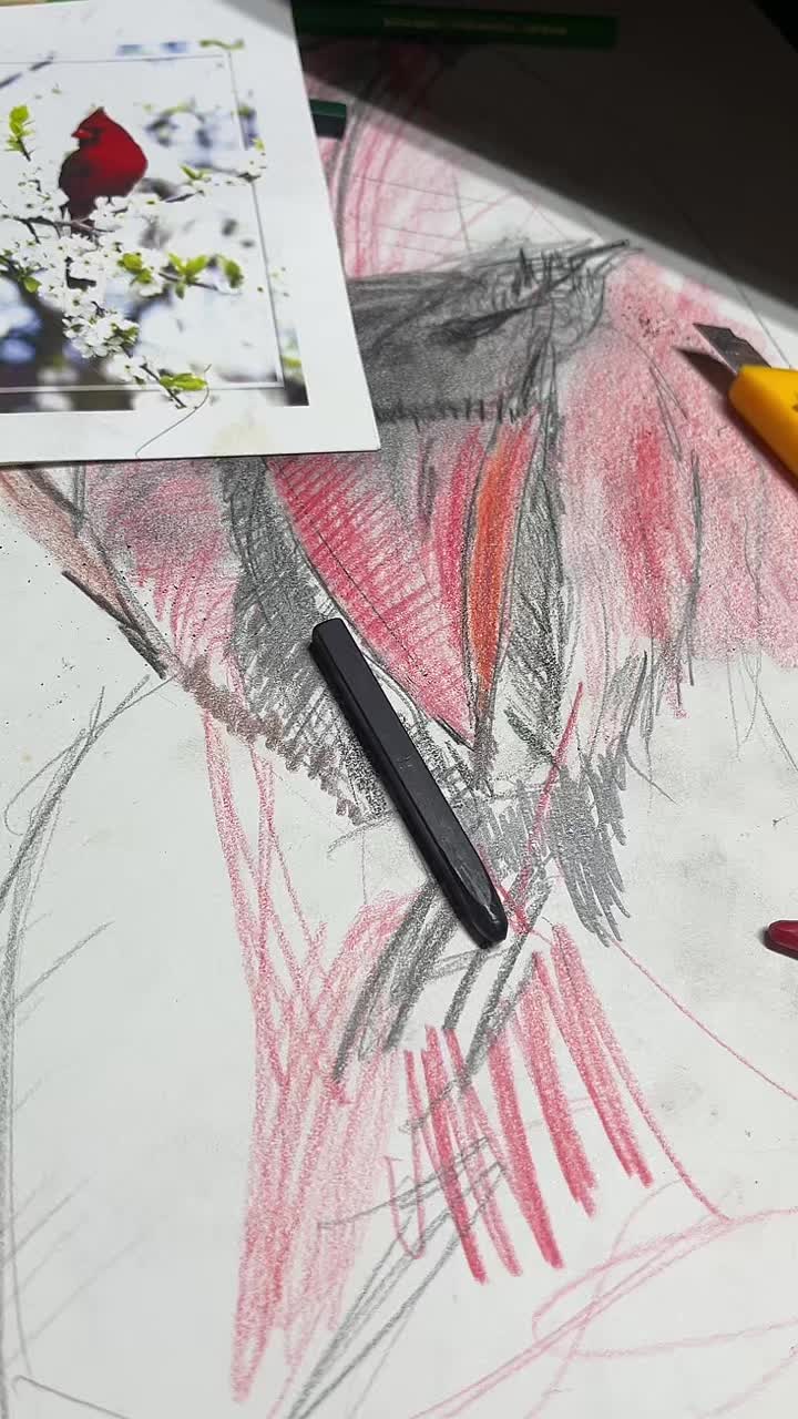 @Bc2551draws