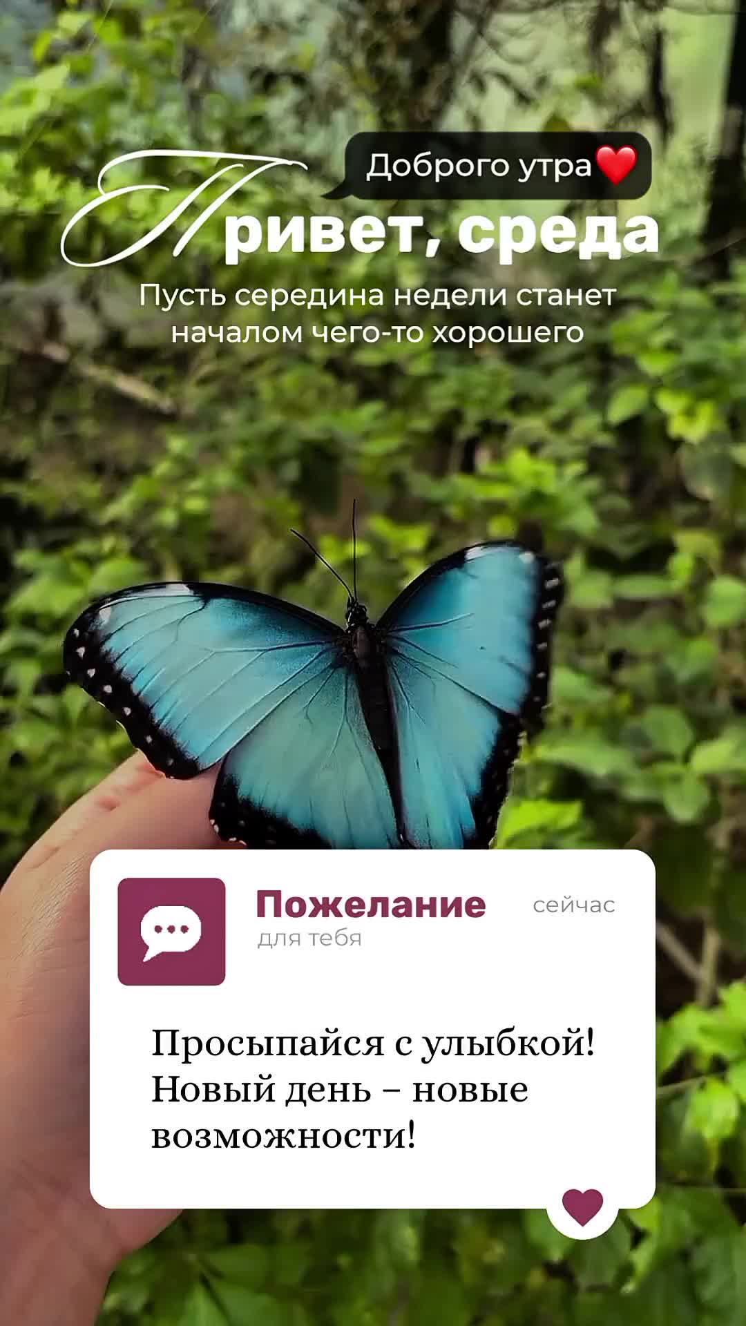 @🌸e🌸l🌸e🌸n🌸a🌸