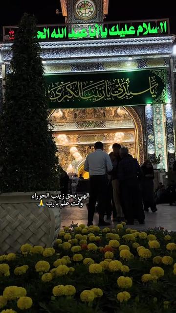 @أحمد أبو علي