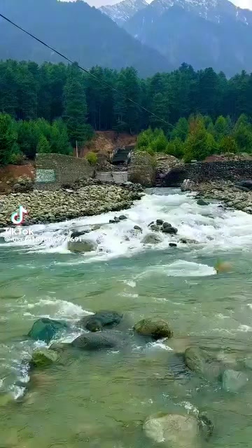 @Shumaila Akhtar
