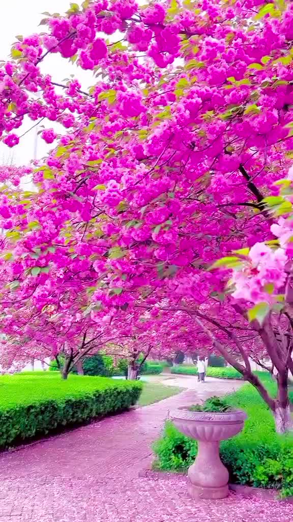 @m  Abbas hashmi
