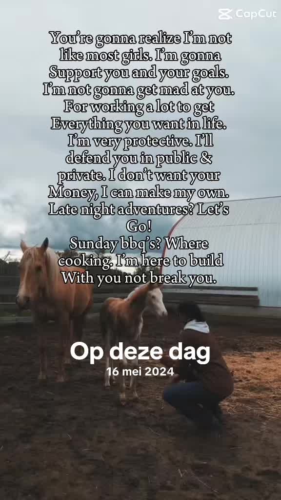 @Sterre Schepers