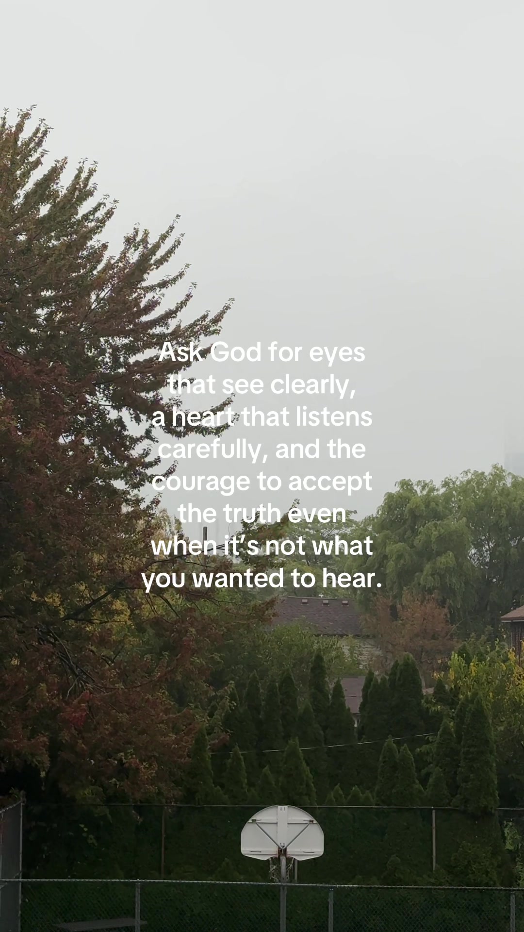 @ℒ ᥫ᭡