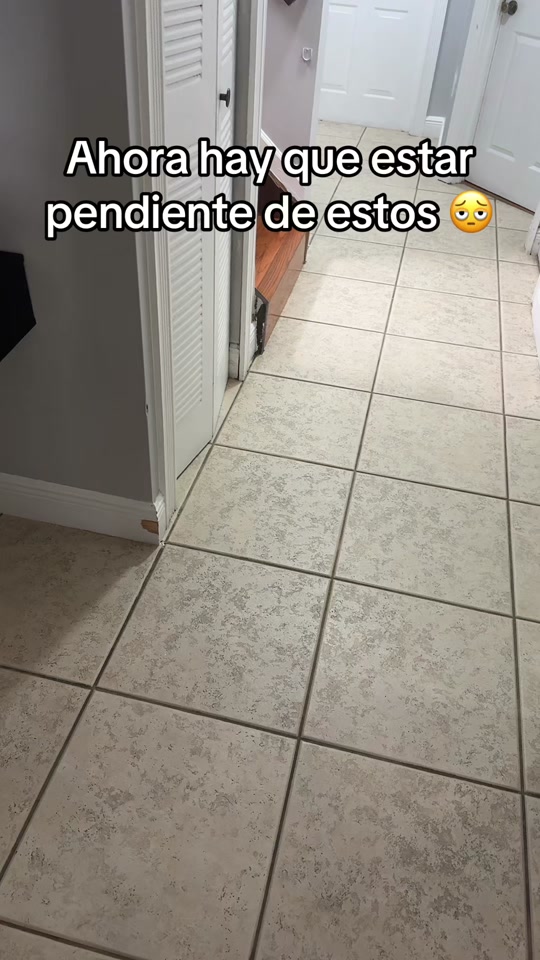 @justwill.360