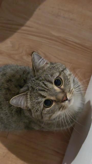 @Luka