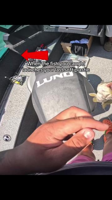 @BRVDDY BASSIN