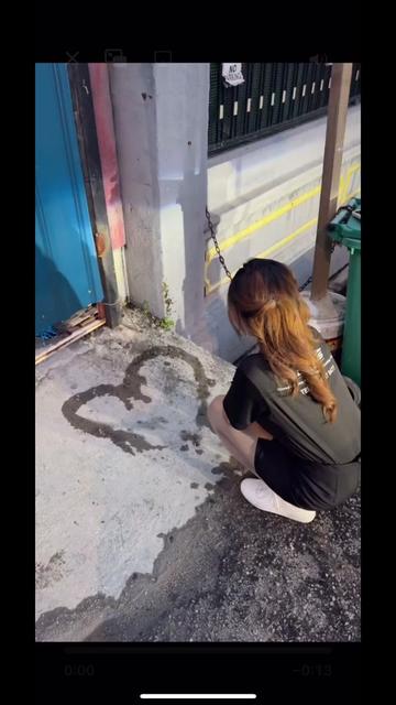 @陳皮