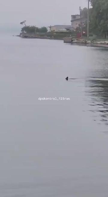 @Александр