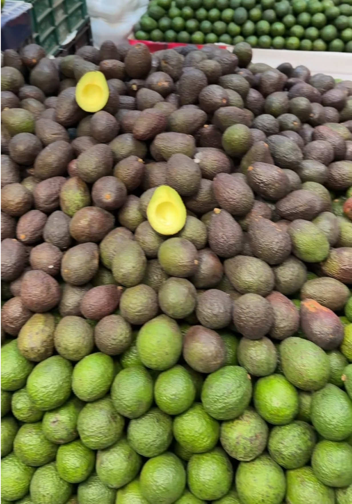 @Ximena Hoyos 🥑