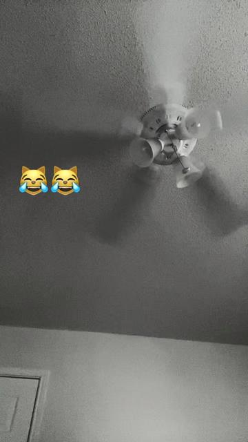@𝑵𝑿𝑳._Sʜᴀᴡɴ📿🏴