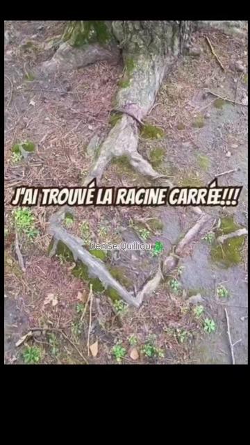 @Lauret Denise ✨🐉✨