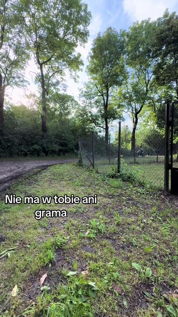 @loleksmolek