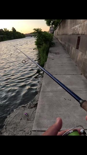 @BRVDDY BASSIN
